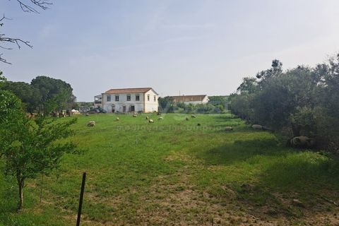 Gård i Beja, Beja, Beja - € 950 000 | Ref: BJ99152 - foto 36
