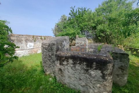 Gård i Beja, Beja, Beja - € 950 000 | Ref: BJ99152 - foto 38