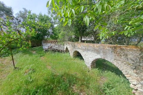 Gård i Beja, Beja, Beja - € 950 000 | Ref: BJ99152 - foto 39