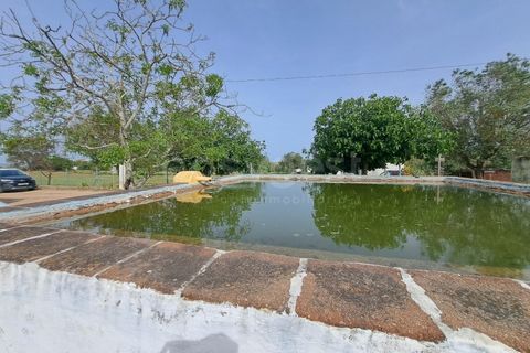 Gård i Beja, Beja, Beja - € 950 000 | Ref: BJ99152 - foto 42