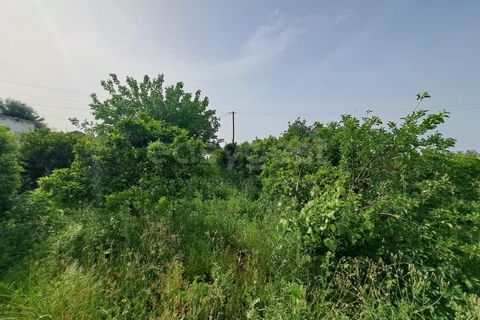 Gård i Beja, Beja, Beja - € 950 000 | Ref: BJ99152 - foto 43