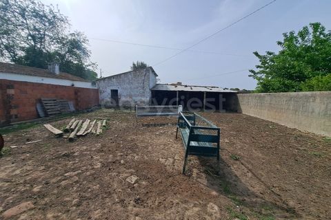 Gård i Beja, Beja, Beja - € 950 000 | Ref: BJ99152 - foto 45
