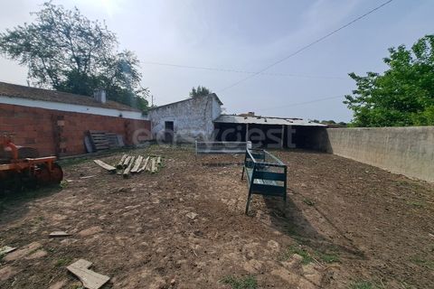 Gård i Beja, Beja, Beja - € 950 000 | Ref: BJ99152 - foto 46