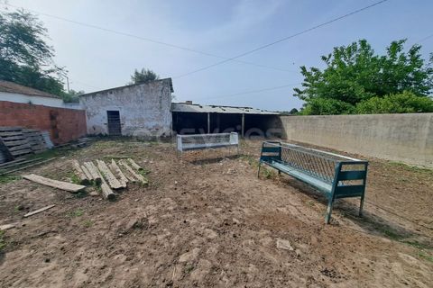 Gård i Beja, Beja, Beja - € 950 000 | Ref: BJ99152 - foto 48
