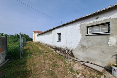 Gård i Beja, Beja, Beja - € 950 000 | Ref: BJ99152 - foto 49