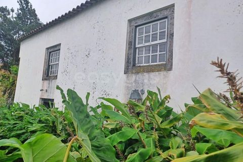 Villa i Sao Roque do Pico, Pico, Sao Roque do Pico - € 64.500 | Ref: AZ99171FR - foto 2