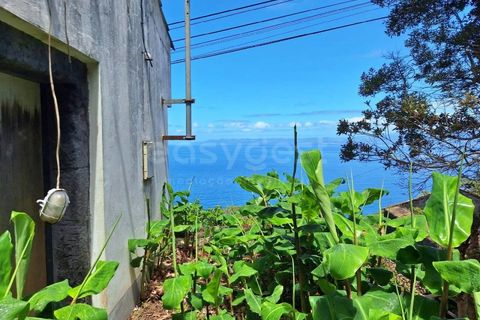Villa i Sao Roque do Pico, Pico, Sao Roque do Pico - € 64.500 | Ref: AZ99171FR - foto 3