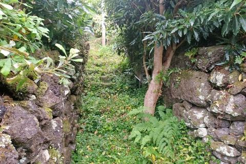 Villa i Sao Roque do Pico, Pico, Sao Roque do Pico - € 64.500 | Ref: AZ99171FR - foto 9