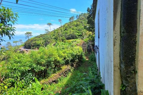 Villa i Sao Roque do Pico, Pico, Sao Roque do Pico - € 64.500 | Ref: AZ99171FR - foto 10