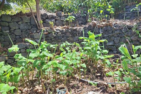 Villa i Sao Roque do Pico, Pico, Sao Roque do Pico - € 64.500 | Ref: AZ99171FR - foto 11