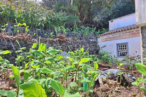 Villa i Sao Roque do Pico, Pico, Sao Roque do Pico - € 64.500 | Ref: AZ99171FR - foto 12