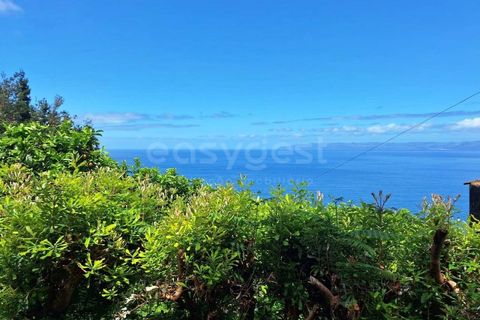 Villa i Sao Roque do Pico, Pico, Sao Roque do Pico - € 64.500 | Ref: AZ99171FR - foto 13