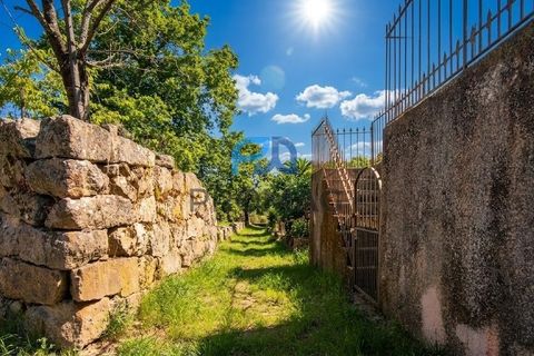 Terra a Resende, Viseu, Resende - € 37.500 | Ref: #283 - foto 3