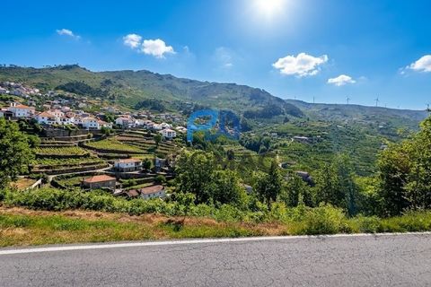 Terra a Resende, Viseu, Resende - € 37.500 | Ref: #283 - foto 4