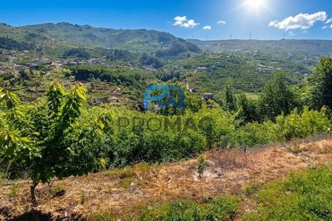 Terra a Resende, Viseu, Resende - € 37.500 | Ref: #283 - foto 5
