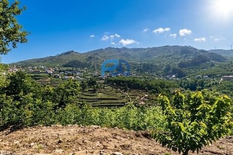 Terra a Resende, Viseu, Resende - € 37.500 | Ref: #283 - foto 6