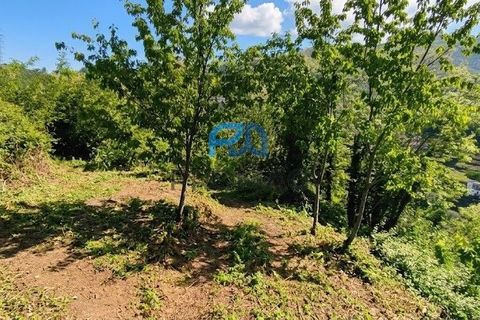 Terra a Resende, Viseu, Resende - € 37.500 | Ref: #283 - foto 7