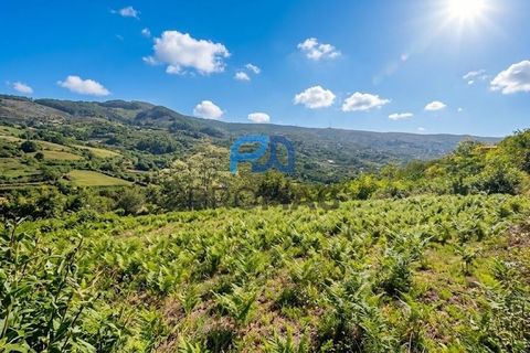 Terra a Resende, Viseu, Resende - € 37.500 | Ref: #283 - foto 8