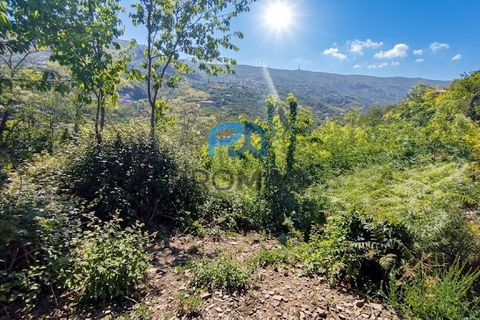 Terra a Resende, Viseu, Resende - € 37.500 | Ref: #283 - foto 10