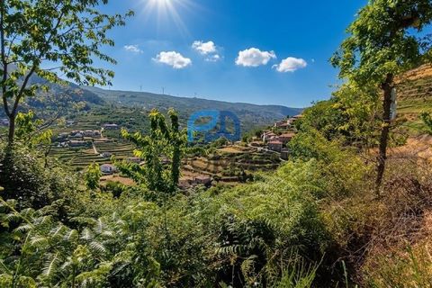 Terra a Resende, Viseu, Resende - € 37.500 | Ref: #283 - foto 11