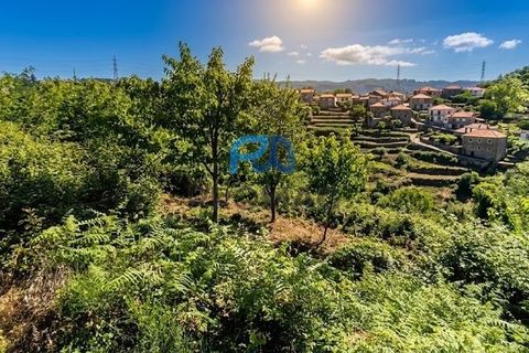Terra a Resende, Viseu, Resende - € 37.500 | Ref: #283 - foto 12