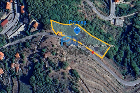 Terra a Resende, Viseu, Resende - € 37.500 | Ref: #283 - foto 13