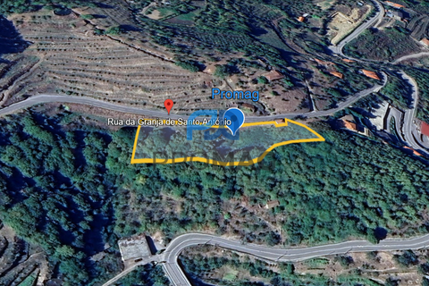 Terra a Resende, Viseu, Resende - € 37.500 | Ref: #283 - foto 14