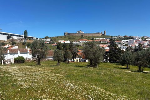 Tomt i Arraiolos, Evora, Arraiolos - € 1 350 000 | Ref: DTJ/0237 - foto 6