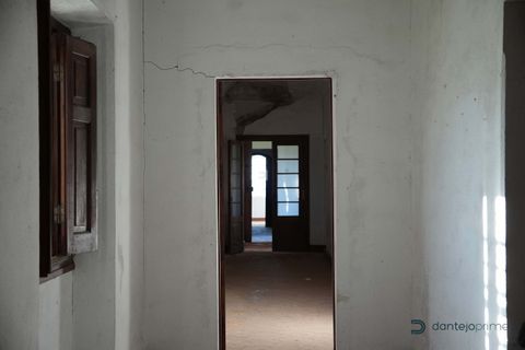 Tomt i Arraiolos, Evora, Arraiolos - € 1 350 000 | Ref: DTJ/0237 - foto 14