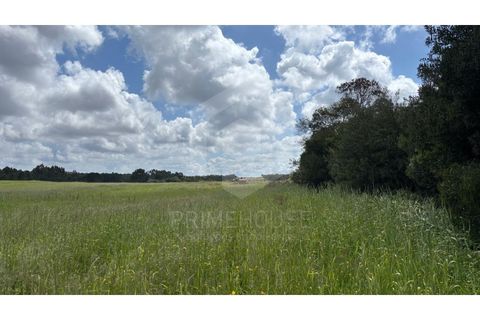 Villa a Rogil, Faro, Rogil - € 795.000 | Ref: PH3591 - foto 39