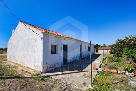 Villa a Rogil, Faro, Rogil - € 795.000 | Ref: PH3591 - foto 3