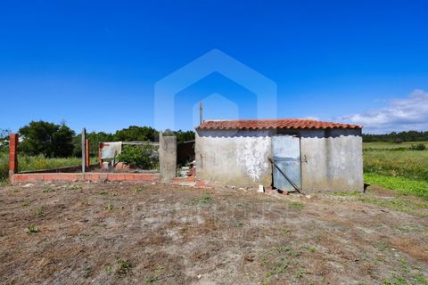 Villa a Rogil, Faro, Rogil - € 795.000 | Ref: PH3591 - foto 32