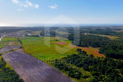 Villa a Rogil, Faro, Rogil - € 795.000 | Ref: PH3591 - foto 40
