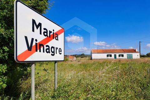 Villa a Rogil, Faro, Rogil - € 795.000 | Ref: PH3591 - foto 43