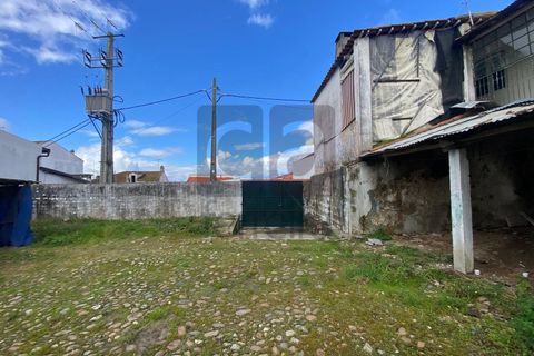 Villa a Chamusca, Santarem, Chamusca - € 125.000 | Ref: MOR4482 - foto 17