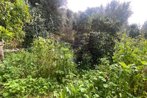 Villa a Chamusca, Santarem, Chamusca - € 125.000 | Ref: MOR4482 - foto 24