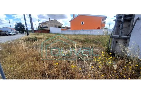 Tomt i Samora Correia, Santarem, Samora Correia - € 86 000 | Ref: TER_2164 - foto 4