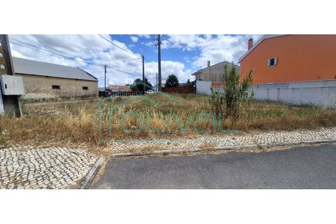 Tomt i Samora Correia, Santarem, Samora Correia - € 86 000 | Ref: TER_2164 - foto 5