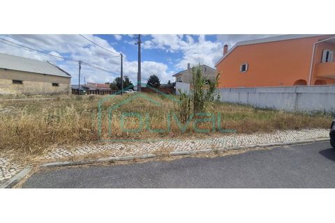 Tomt i Samora Correia, Santarem, Samora Correia - € 86 000 | Ref: TER_2164 - foto 6