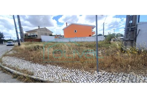 Tomt i Samora Correia, Santarem, Samora Correia - € 86 000 | Ref: TER_2164 - foto 7