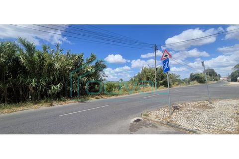 Tomt i Samora Correia, Santarem, Samora Correia - € 86 000 | Ref: TER_2164 - foto 8