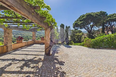 Villa i Le Plan-de-la-Tour, Var, Le Plan-de-la-Tour - € 998.000 | Ref: P1237 - foto 23