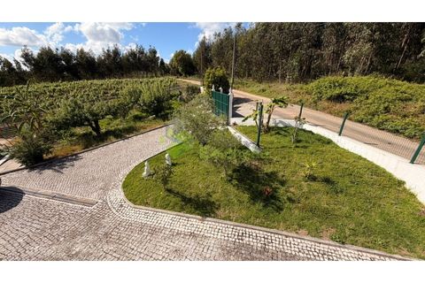 Villa i Cadaval, Lisbon, Cadaval - € 495.000 | Ref: 2233 - foto 15
