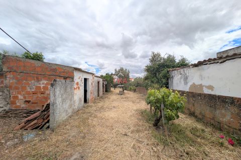Villa i Almodovar, Beja, Almodovar - € 128.000 | Ref: FK010221 - foto 24