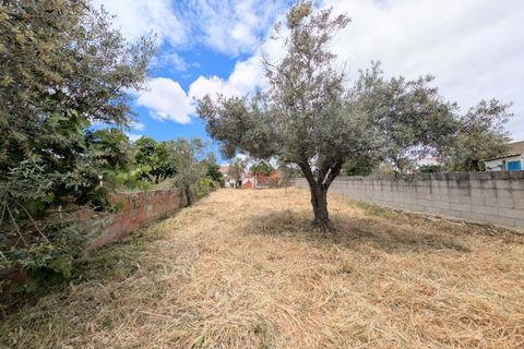 Villa i Almodovar, Beja, Almodovar - € 128.000 | Ref: FK010221 - foto 28