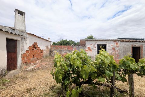 Villa i Almodovar, Beja, Almodovar - € 128.000 | Ref: FK010221 - foto 30
