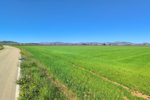 Helårsgrund i Yecla, Murcia, Yecla - € 67.500 | Ref: 70117 - foto 1