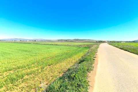 Helårsgrund i Yecla, Murcia, Yecla - € 43.500 | Ref: 70116 - foto 2
