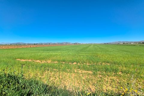 Helårsgrund i Yecla, Murcia, Yecla - € 43.500 | Ref: 70116 - foto 3