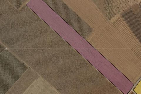 Helårsgrund i Yecla, Murcia, Yecla - € 43.500 | Ref: 70116 - foto 4